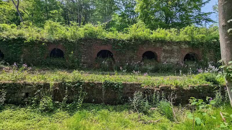 Leetonia Beehive Coke Ovens Park - Leetonia, OH