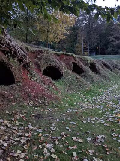 Leetonia Beehive Coke Ovens Park - Leetonia, OH