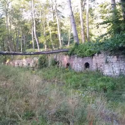 Leetonia Beehive Coke Ovens Park - Leetonia, OH