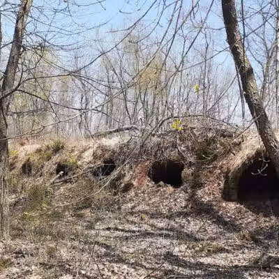 Leetonia Beehive Coke Ovens Park - Leetonia, OH