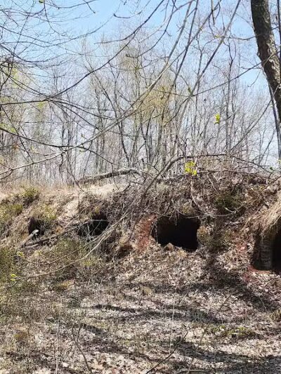 Leetonia Beehive Coke Ovens Park - Leetonia, OH