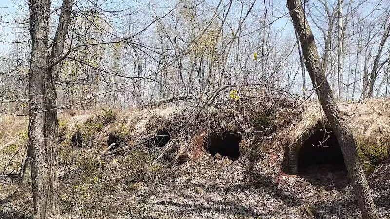 Leetonia Beehive Coke Ovens Park - Leetonia, OH