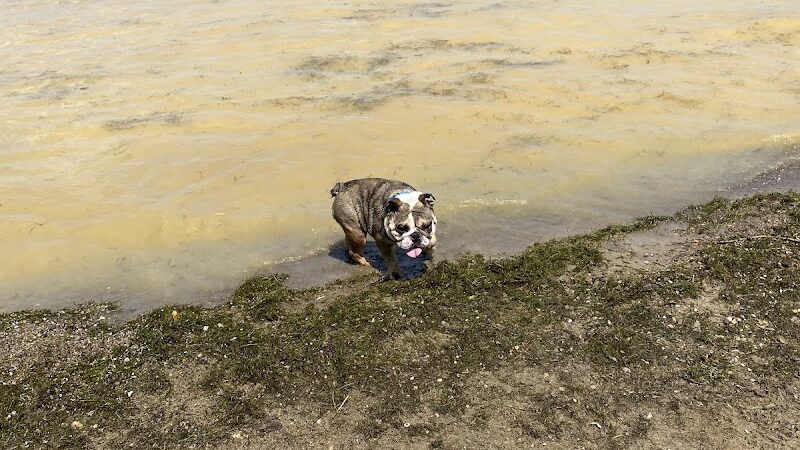 Friends of Alum Creek Dog Park - Lewis Center, OH