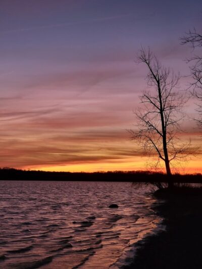 Friends of Alum Creek Dog Park - Lewis Center, OH