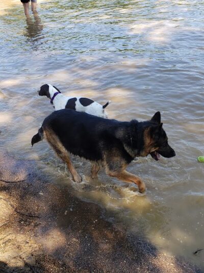 Friends of Alum Creek Dog Park - Lewis Center, OH