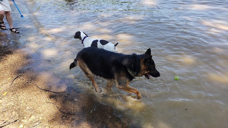 Friends of Alum Creek Dog Park - Lewis Center, OH