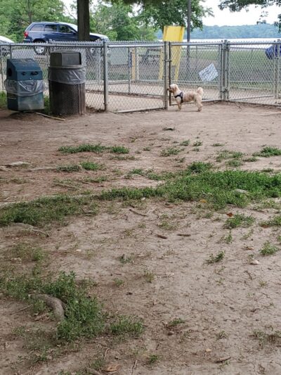 Friends of Alum Creek Dog Park - Lewis Center, OH