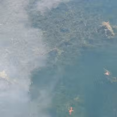 Glen Oak Park - Lewis Center, OH