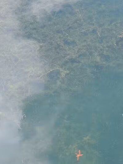 Glen Oak Park - Lewis Center, OH