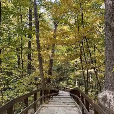 Highbanks Metro Park - Lewis Center, OH