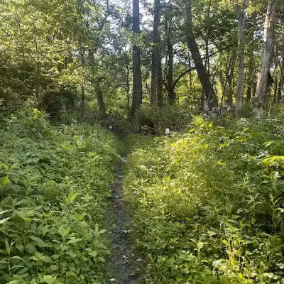 Highbanks Metro Park - Lewis Center, OH