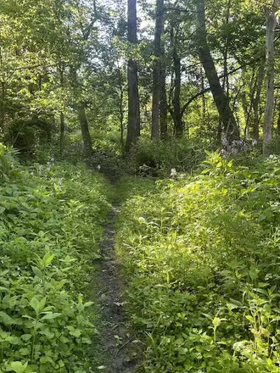 Highbanks Metro Park - Lewis Center, OH