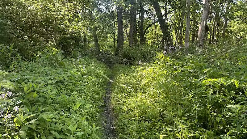 Highbanks Metro Park - Lewis Center, OH