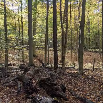 Highbanks Metro Park Multi-Use Trail - Lewis Center, OH