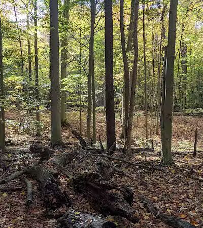 Highbanks Metro Park Multi-Use Trail - Lewis Center, OH