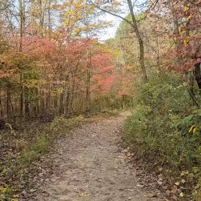 Highbanks Metro Park Multi-Use Trail - Lewis Center, OH