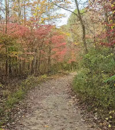 Highbanks Metro Park Multi-Use Trail - Lewis Center, OH