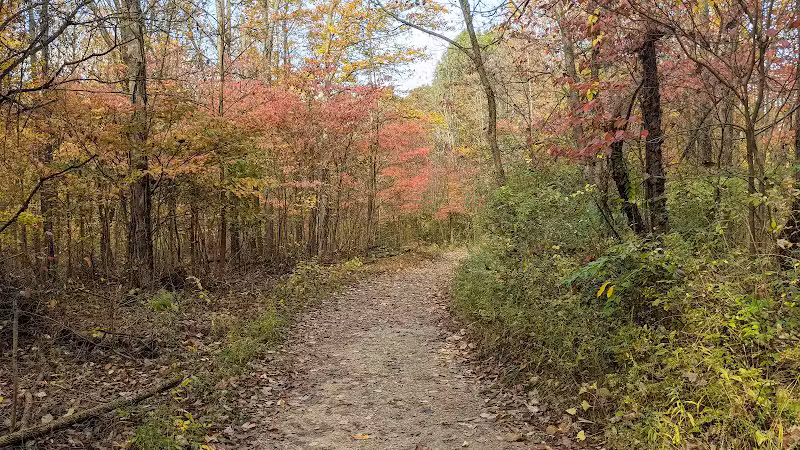 Highbanks Metro Park Multi-Use Trail - Lewis Center, OH
