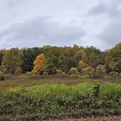Highbanks Metro Park Multi-Use Trail - Lewis Center, OH