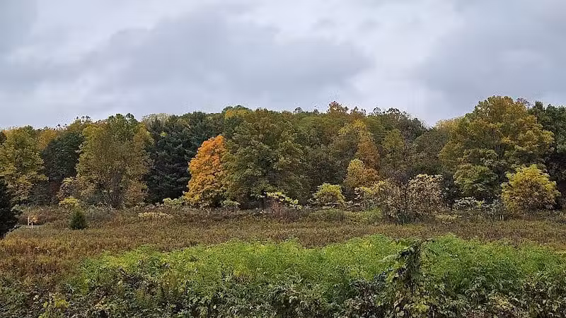 Highbanks Metro Park Multi-Use Trail - Lewis Center, OH