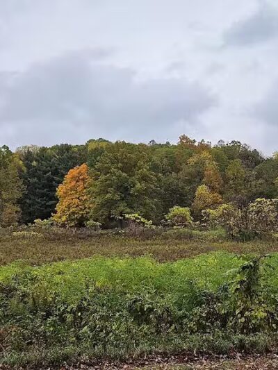 Highbanks Metro Park Multi-Use Trail - Lewis Center, OH