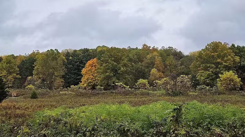 Highbanks Metro Park Multi-Use Trail - Lewis Center, OH