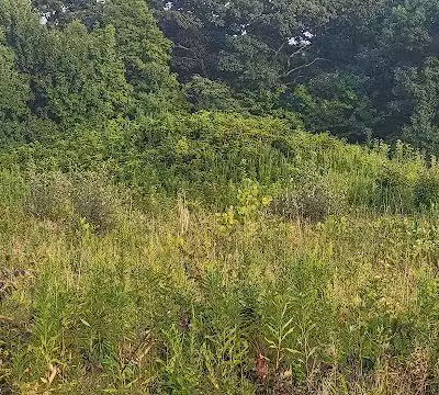 Highbanks Park Mound I - Lewis Center, OH