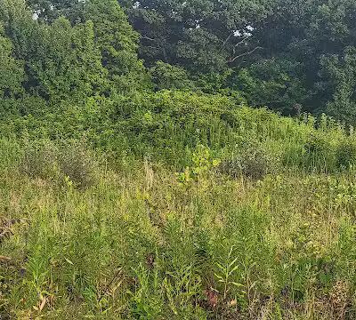 Highbanks Park Mound I - Lewis Center, OH