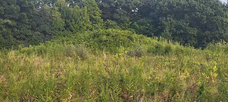 Highbanks Park Mound I - Lewis Center, OH