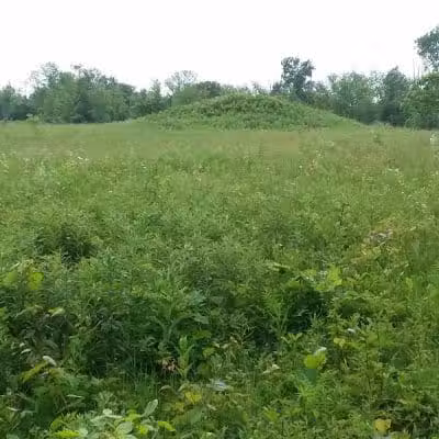 Highbanks Park Mound I - Lewis Center, OH