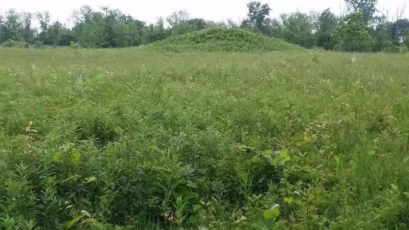 Highbanks Park Mound I - Lewis Center, OH