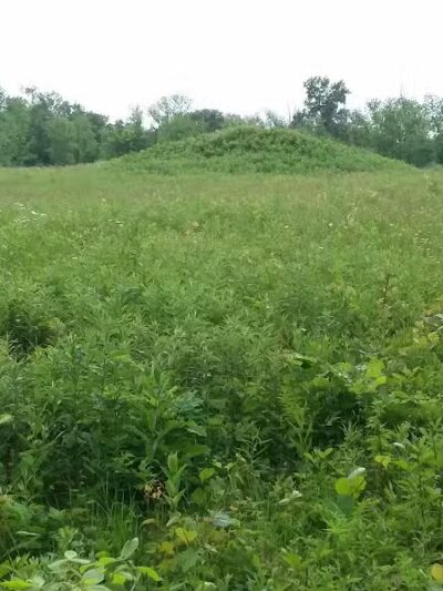 Highbanks Park Mound I - Lewis Center, OH