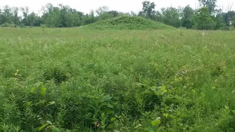 Highbanks Park Mound I - Lewis Center, OH