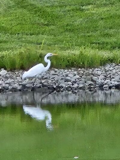 Wynstone Park - Lewis Center, OH