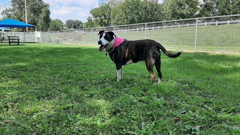 Lewisburg Dog Park by Royal Canin - Lewisburg, OH