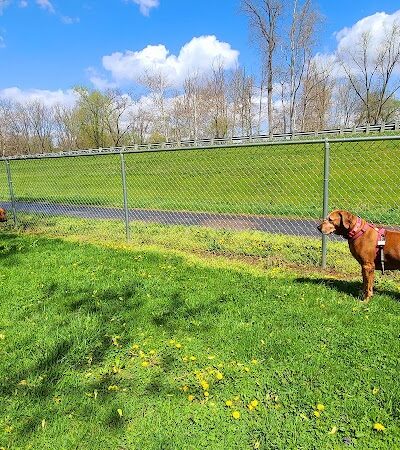 Lewisburg Dog Park by Royal Canin - Lewisburg, OH