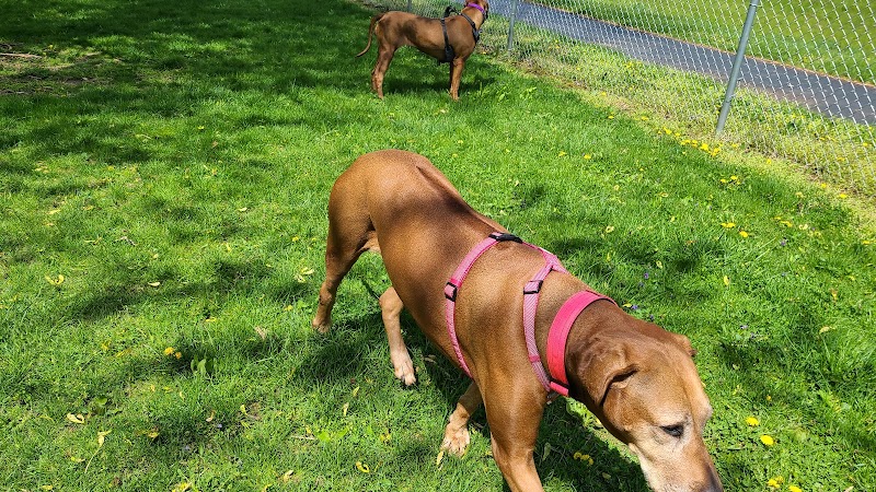 Lewisburg Dog Park by Royal Canin - Lewisburg, OH