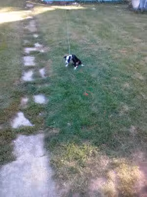 Cook Park - Lima, OH