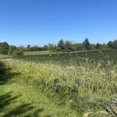 Allen County Farm Park - Lima, OH