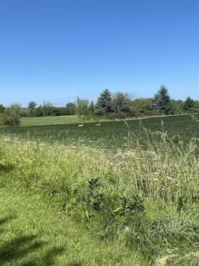 Allen County Farm Park - Lima, OH