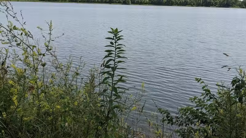 Allen County Farm Park - Lima, OH