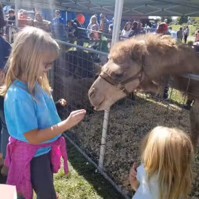 Allen County Farm Park - Lima, OH