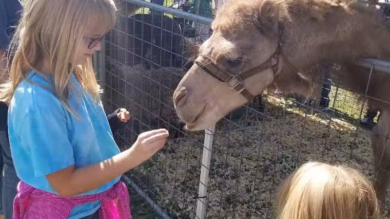 Allen County Farm Park - Lima, OH