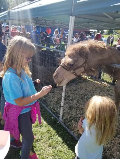 Allen County Farm Park - Lima, OH