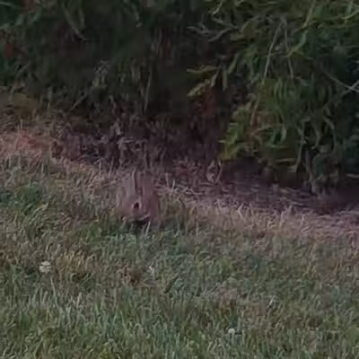 Allen County Farm Park - Lima, OH