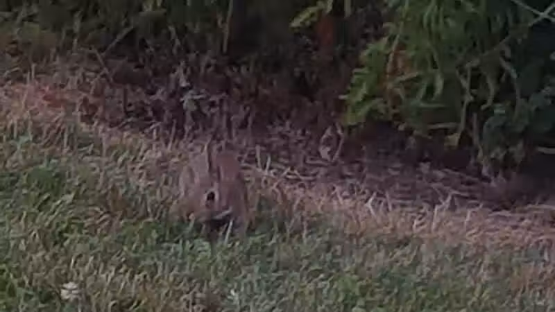 Allen County Farm Park - Lima, OH