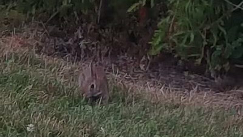 Allen County Farm Park - Lima, OH