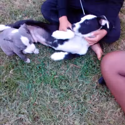 Cook Park - Lima, OH