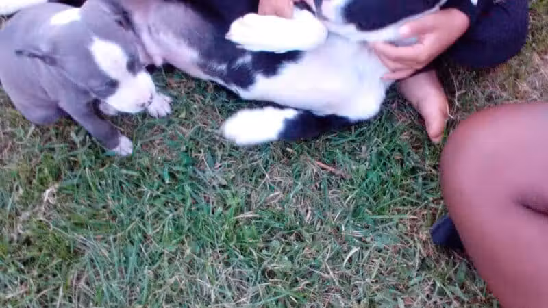 Cook Park - Lima, OH