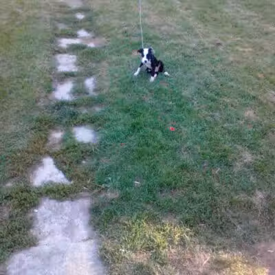 Cook Park - Lima, OH